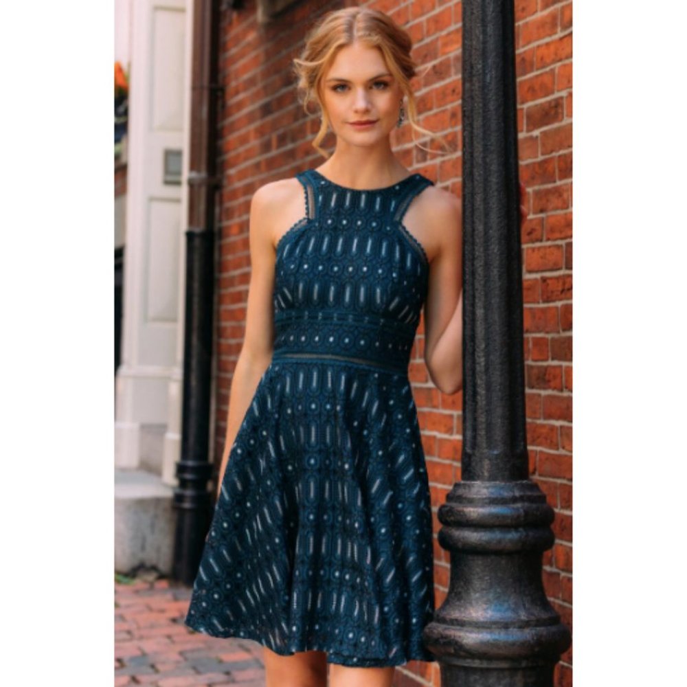 Francesca's Penelope Lace Skater Dress Peacock